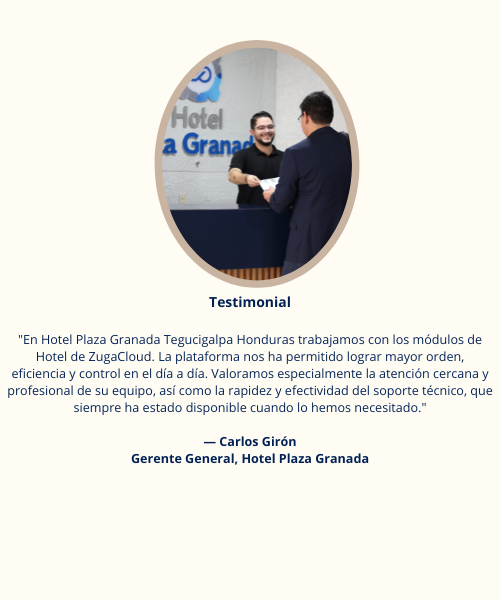 Grupo Hotelero — Director Comercial